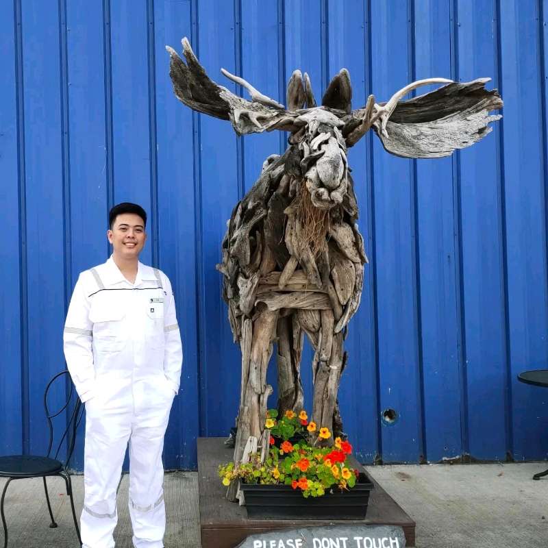 1j0gjmjwfcu large optimized