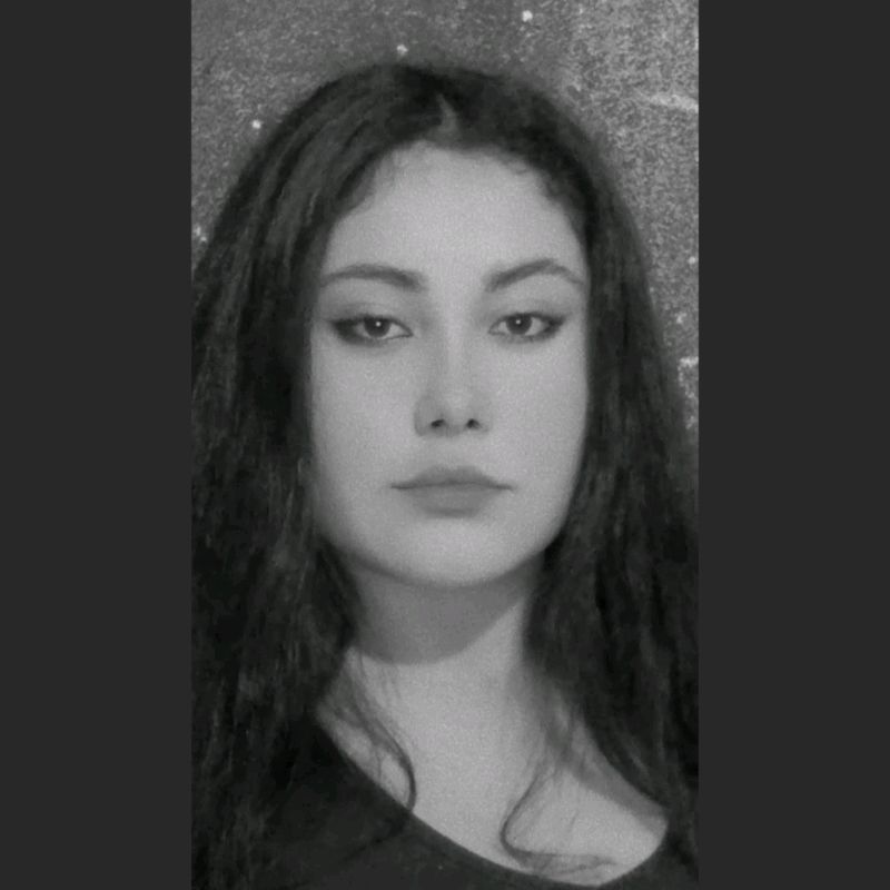 F lzvdiga 1 large optimized