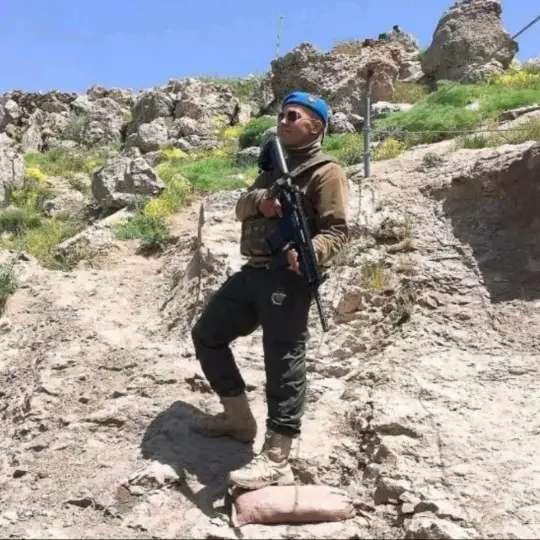 K99d2 ocoov large optimized