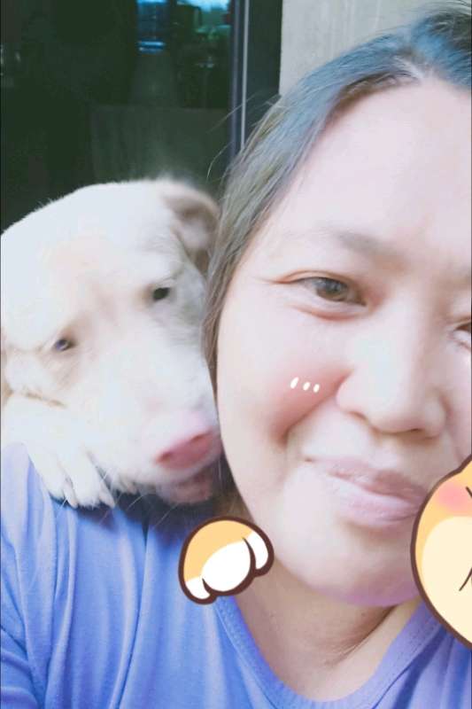 Lj8dkvipjln large optimized