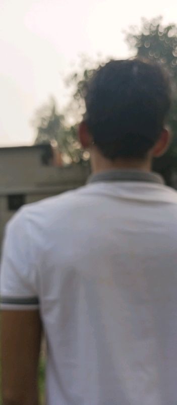  waaqlh9aet large optimized