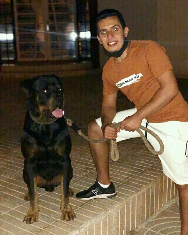 Mf9lplha2vhvp4ssxv5y1598456471589 large optimized